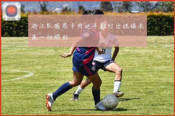 浙江队感恩卡内达辛勤付出祝福未来一切顺利