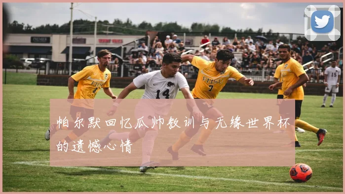 帕尔默回忆瓜帅教训与无缘世界杯的遗憾心情
